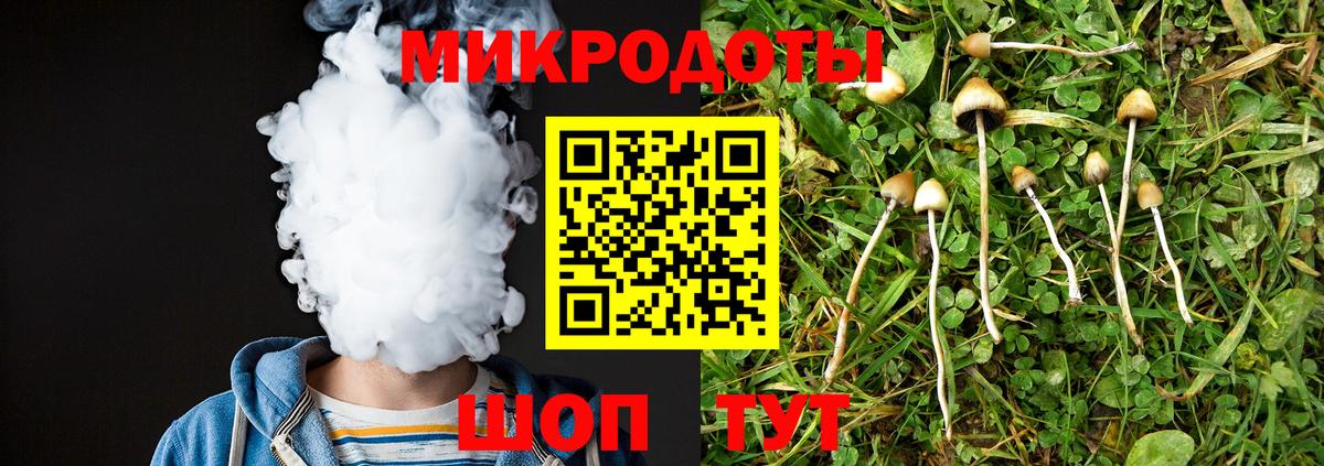 Галлюциногенные грибы Psilocybine cubensis Вышний Волочёк